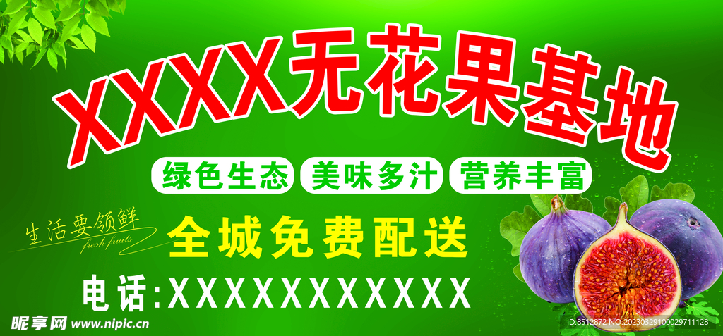 无花果单透