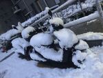 雪夜