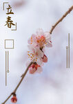 简约立春节气