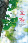 立春节气