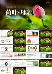 荷叶母亲