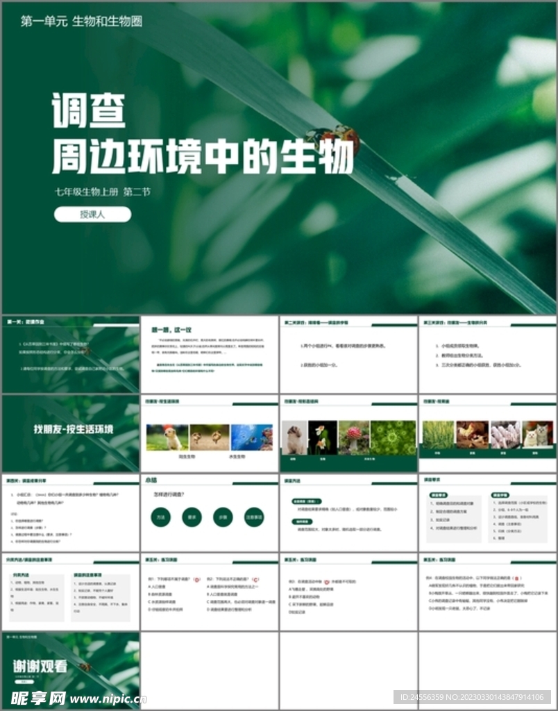 调查周围环境中的生物
