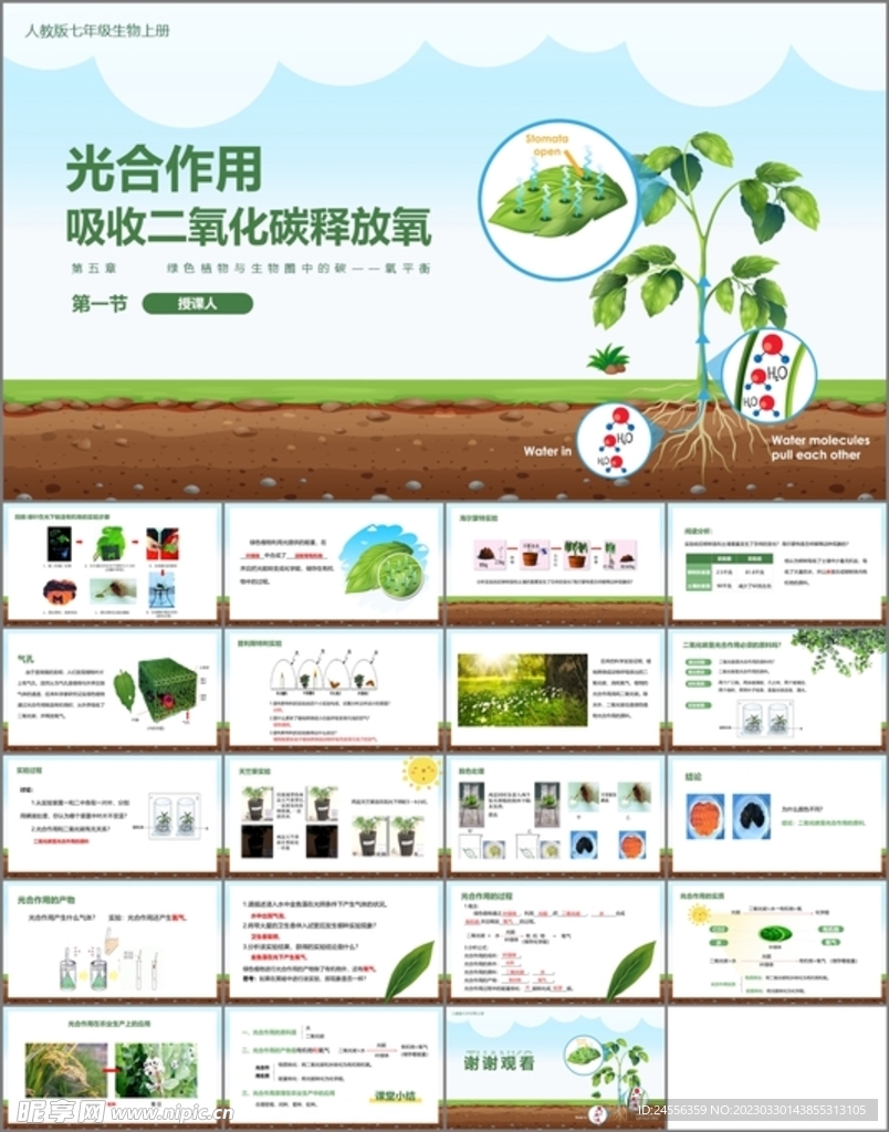 光合作用吸收二氧化碳释放氧