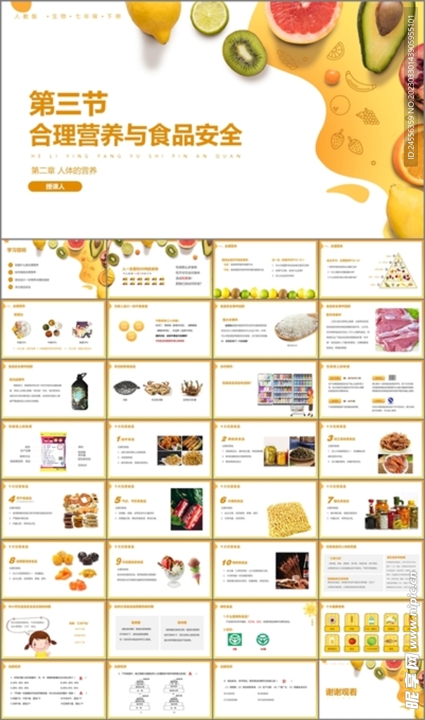 合理营养与食品安全