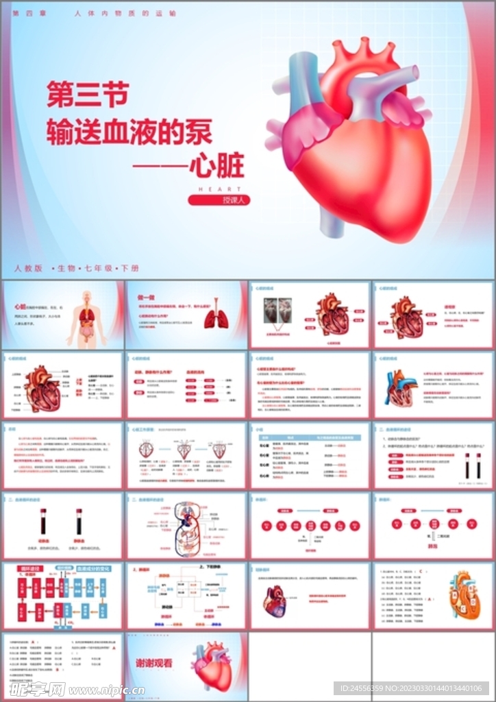 输送血液的泵心脏