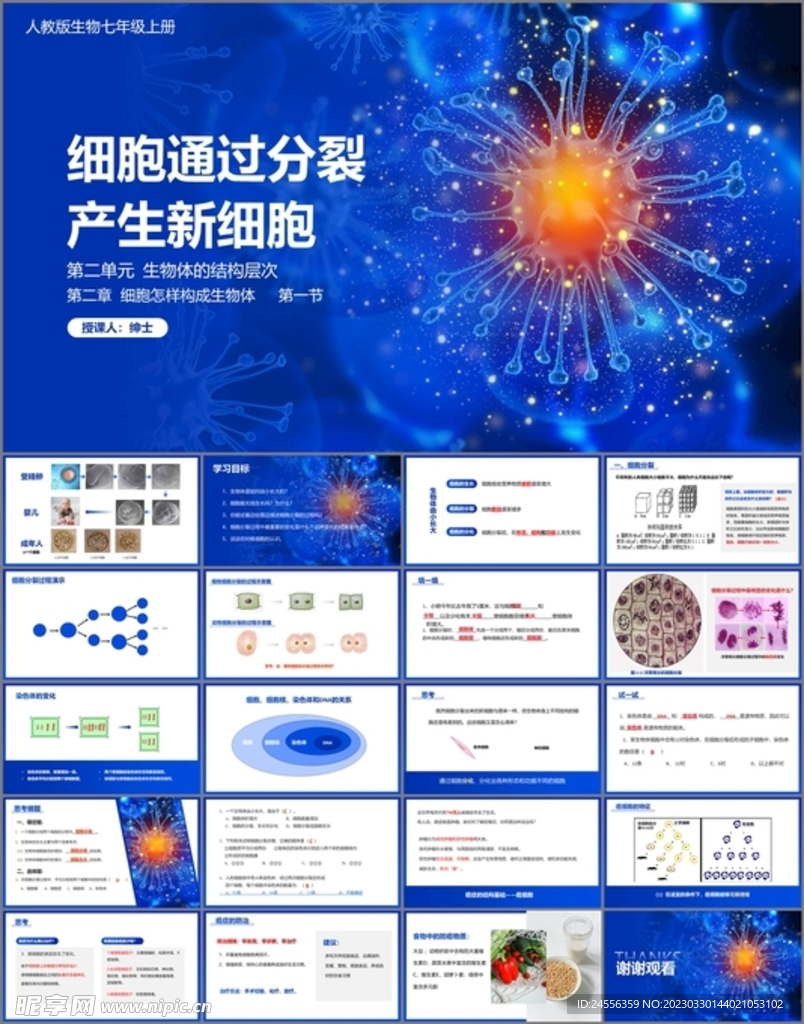 细胞通过分裂产生新细胞