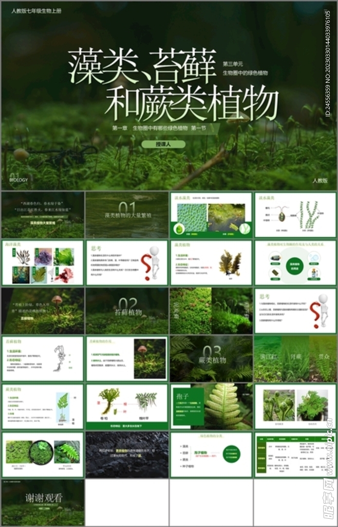 藻类苔藓和蕨类植物