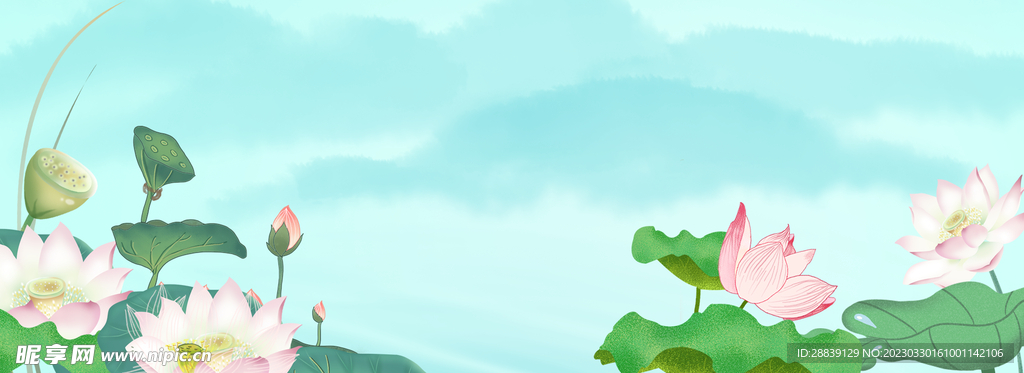 莲花背景