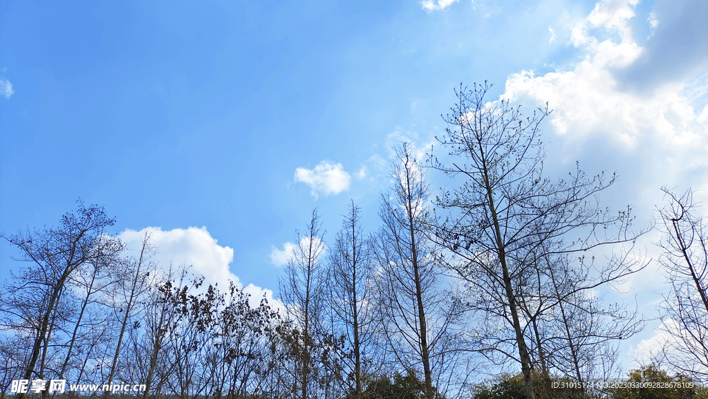 天空