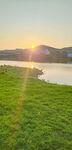 夕阳草地