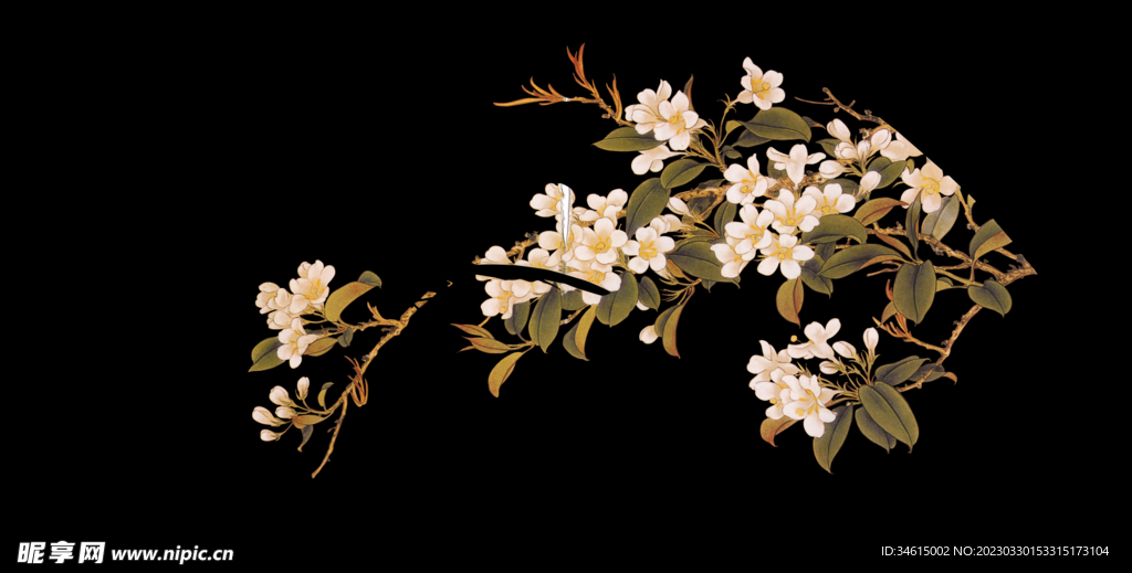 锦带花