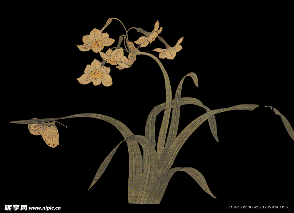 水仙花