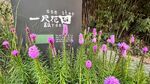 一尺花园咖啡厅