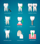 牙齿矢量 口腔健康 