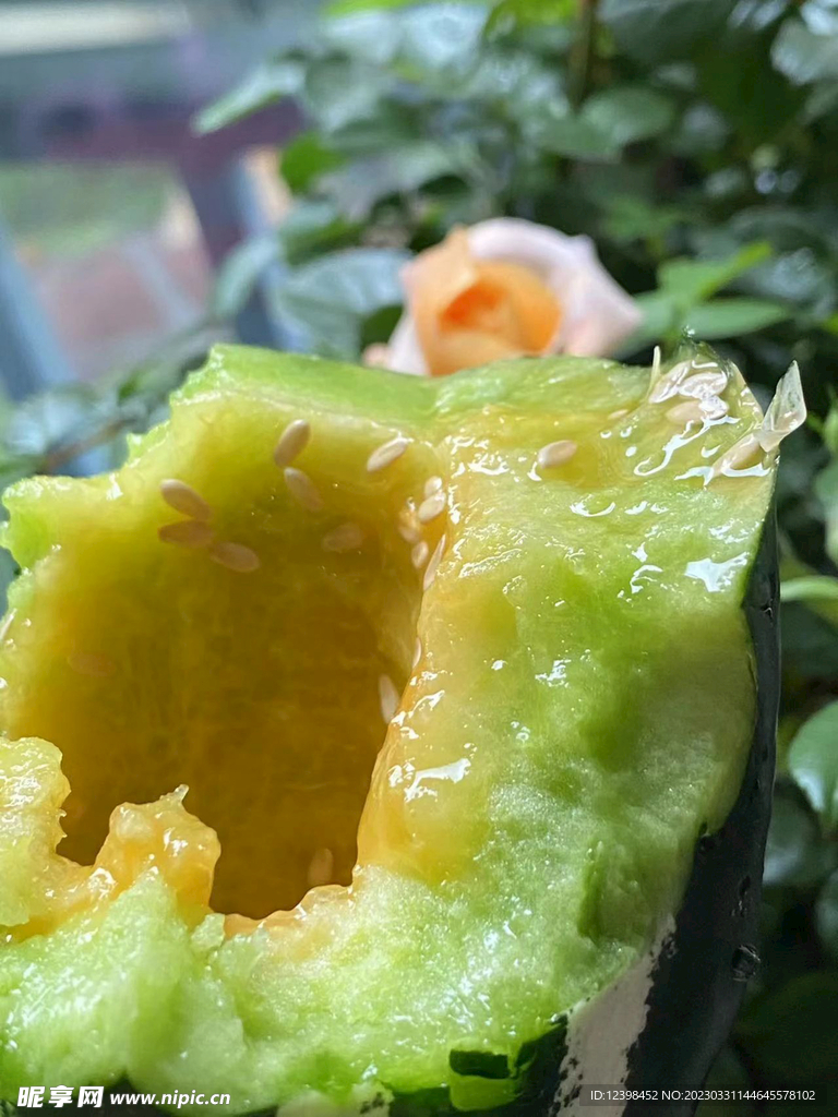 蜜瓜