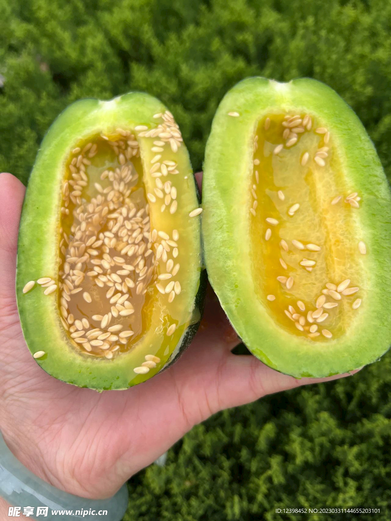 蜜瓜