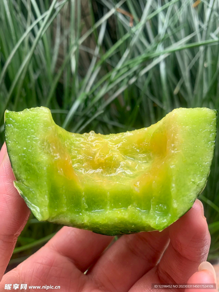 蜜瓜