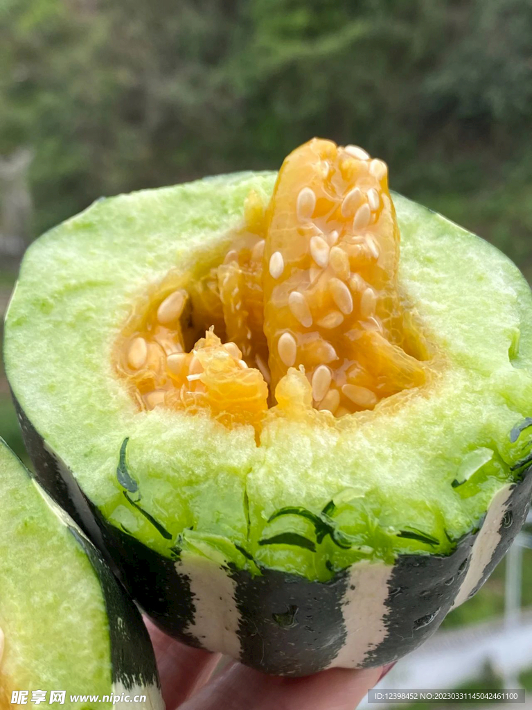 蜜瓜