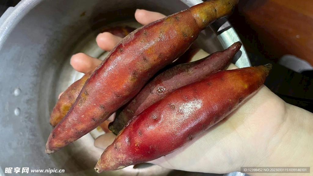 红薯
