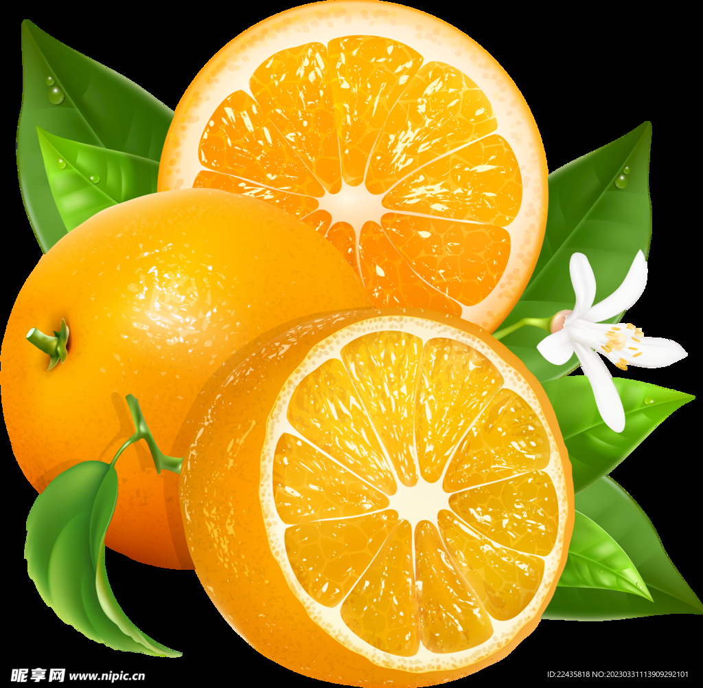 橙子PNG免抠素材