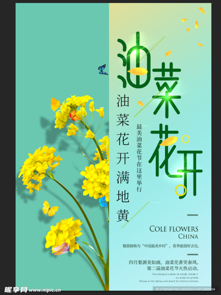 油菜海报