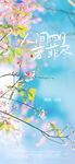 四月清明节谷雨海报
