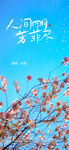 清明节鲜花海报