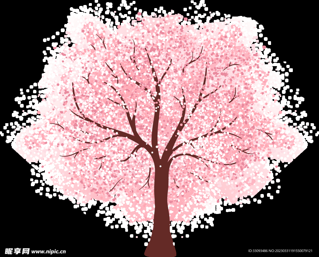 樱花 