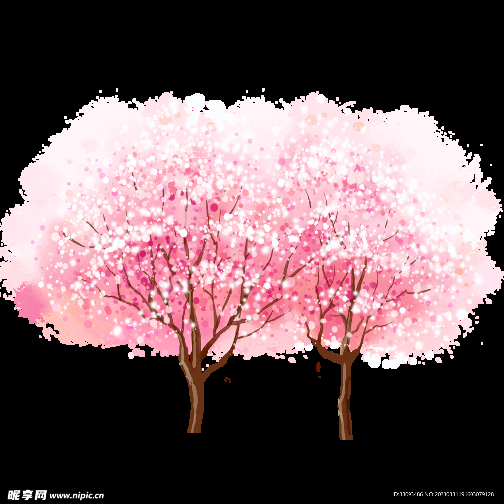 樱花 