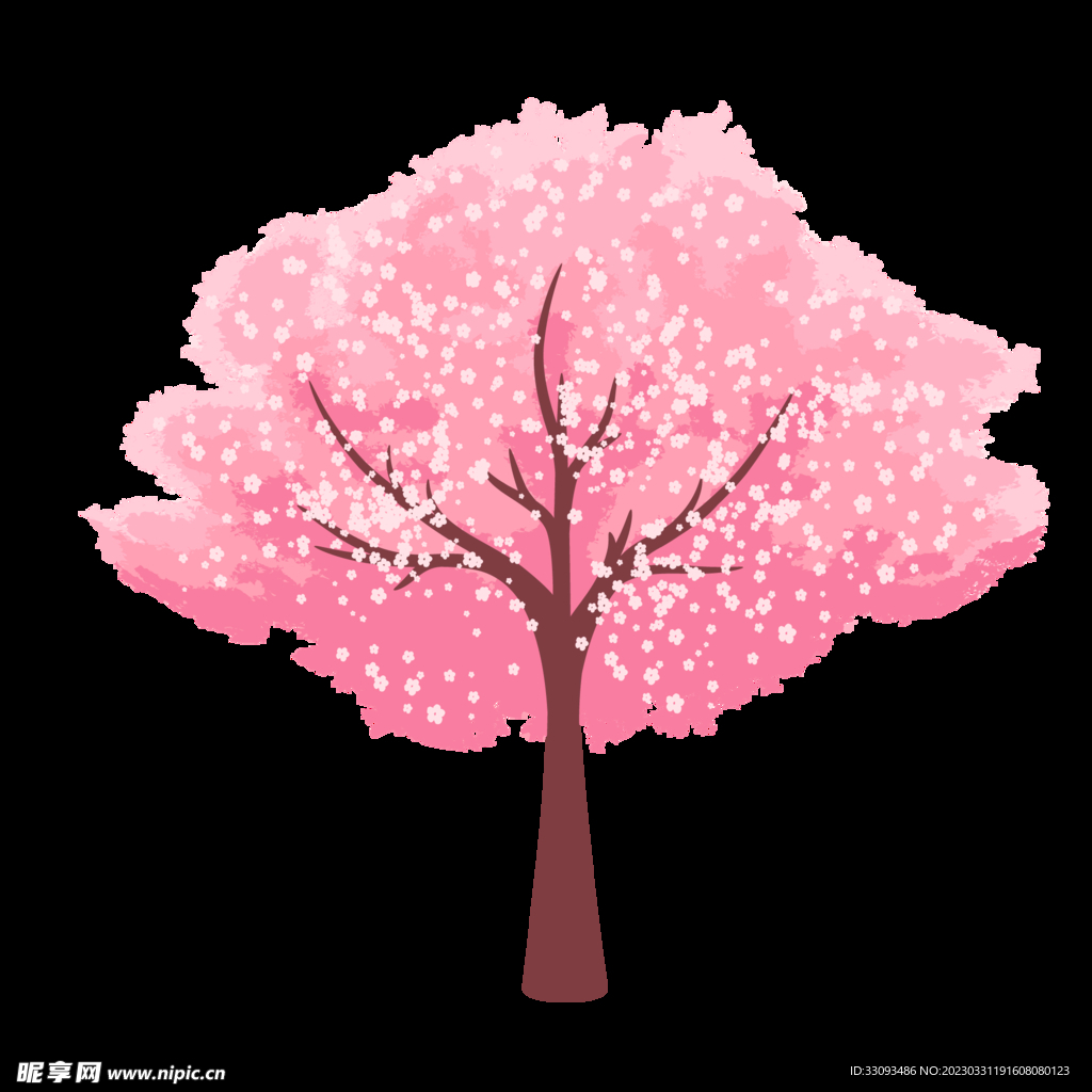 樱花 