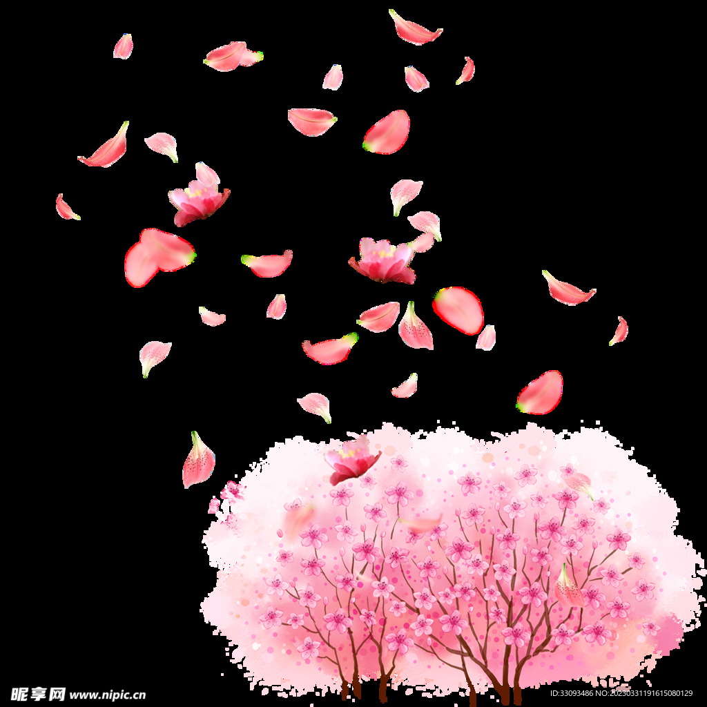 樱花