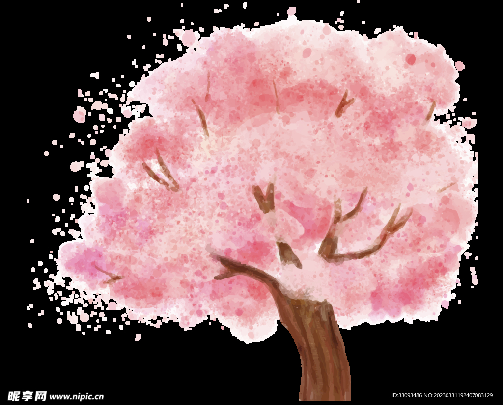 樱花 