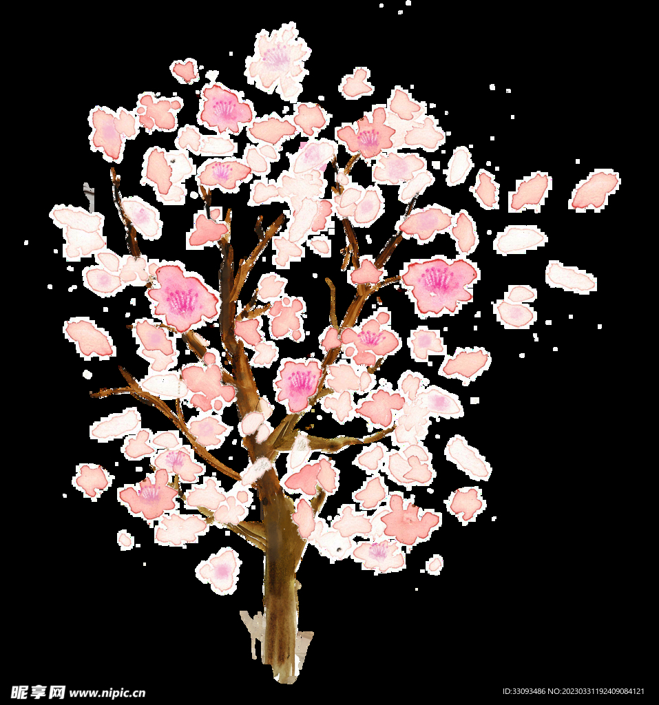 樱花