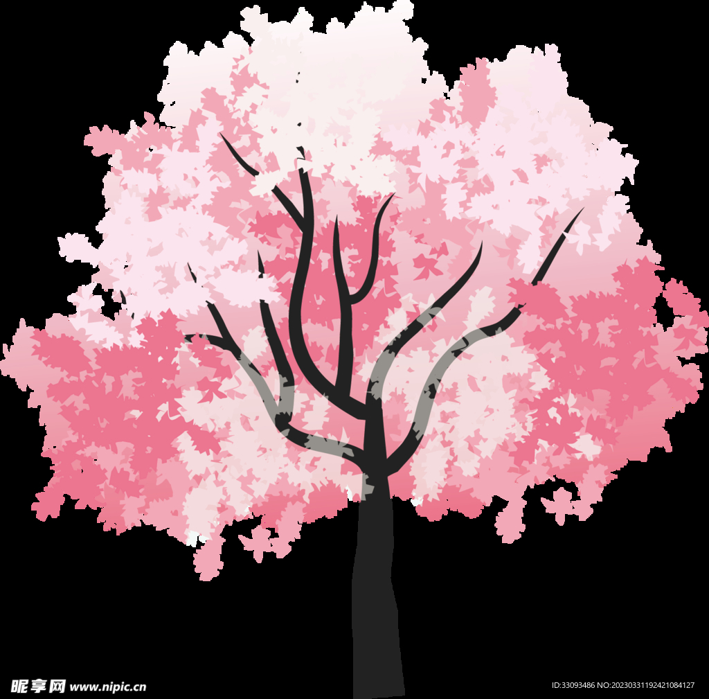 樱花 