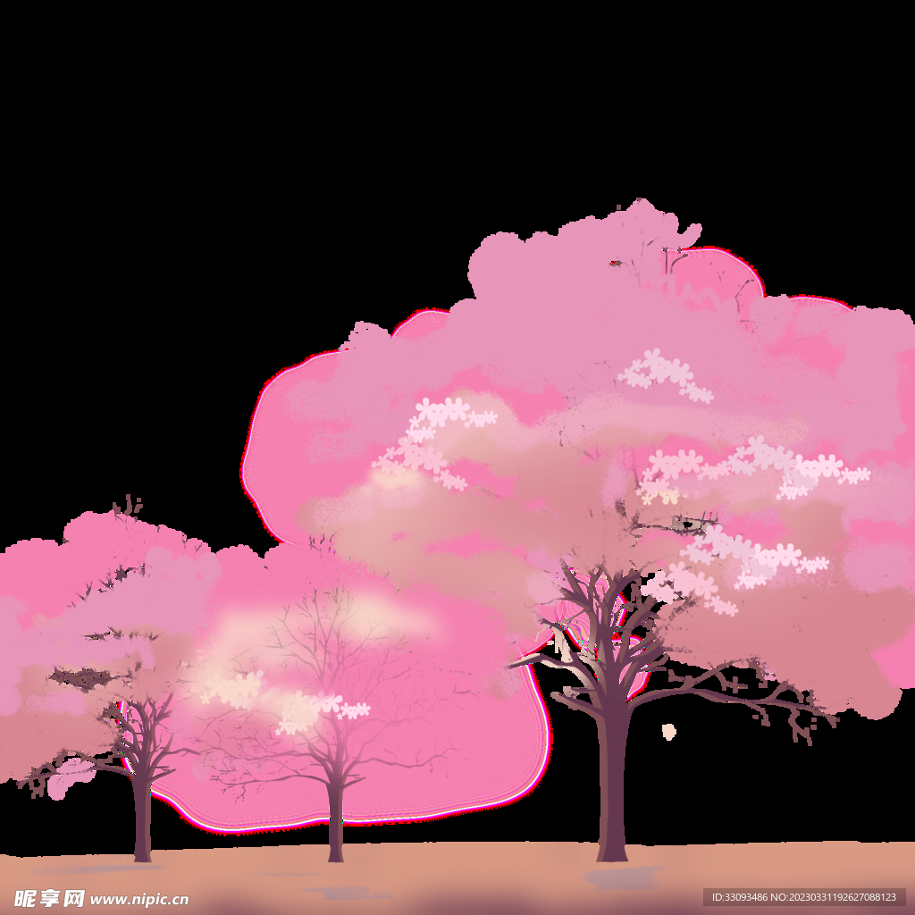 樱花 