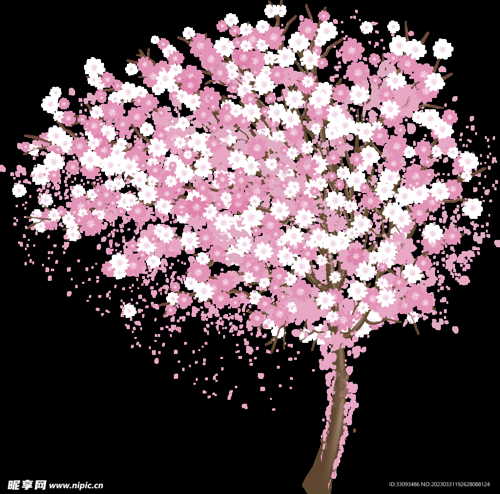 樱花  