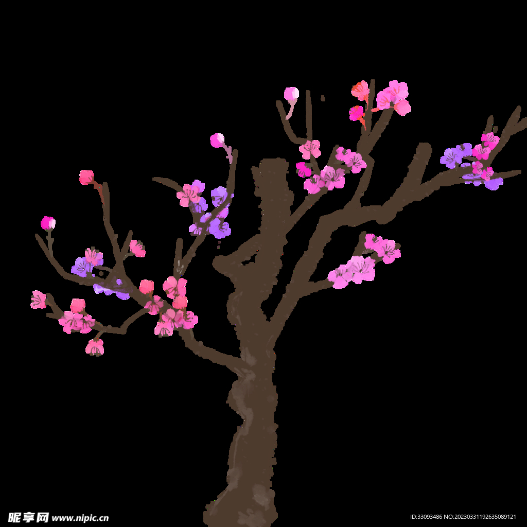 樱花