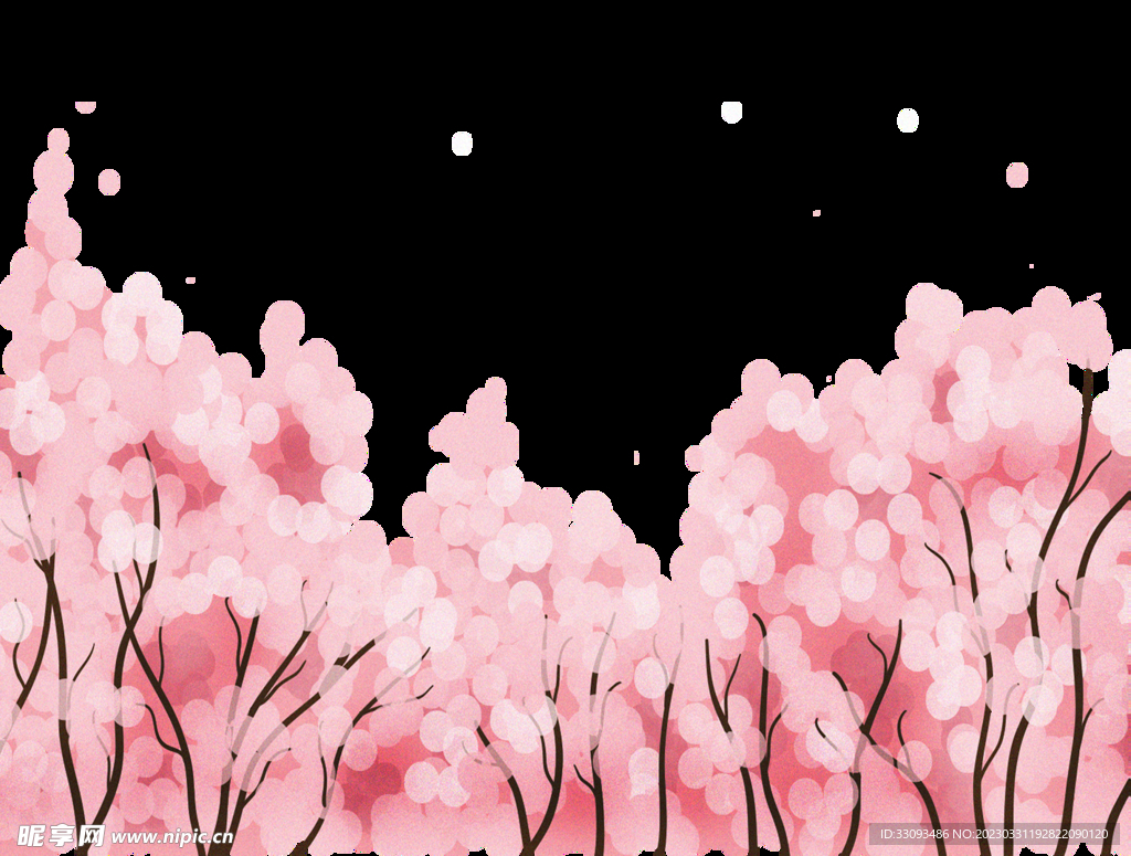 樱花 