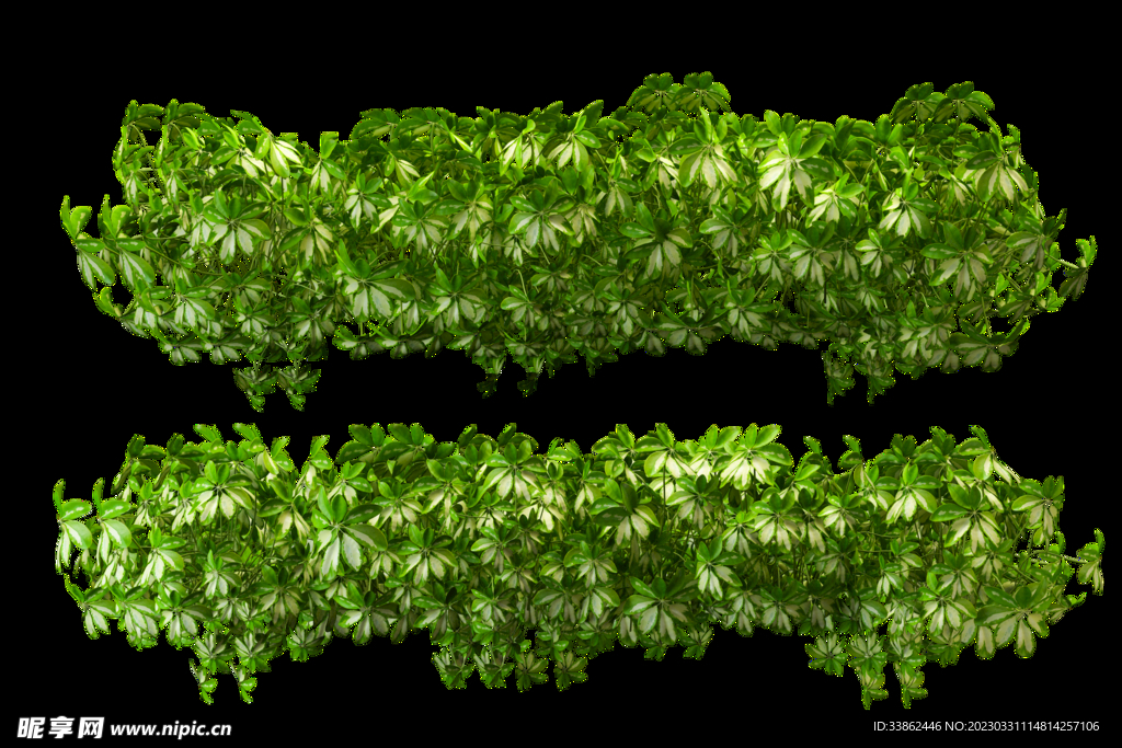 绿植素材