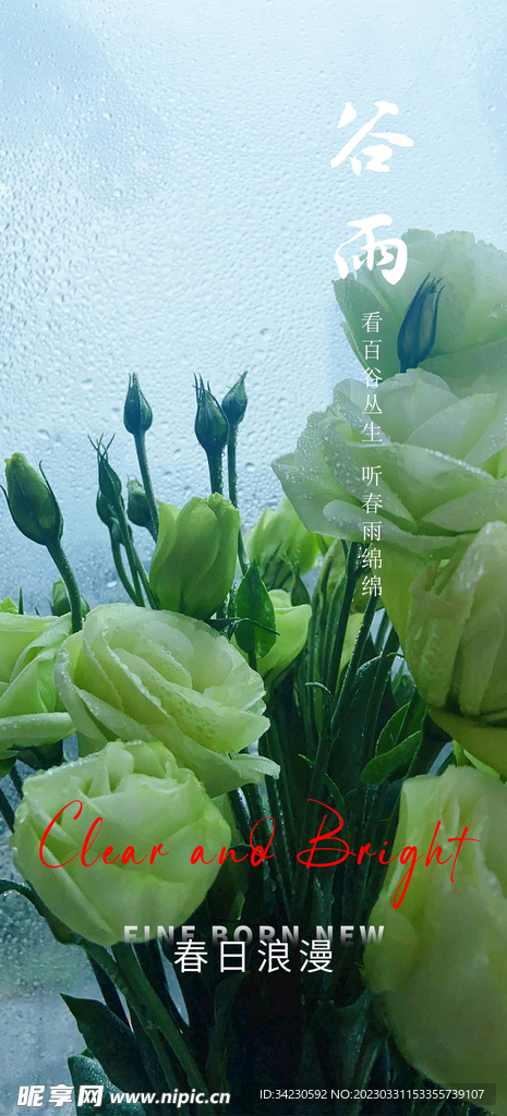 谷雨