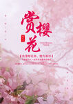 樱花海报
