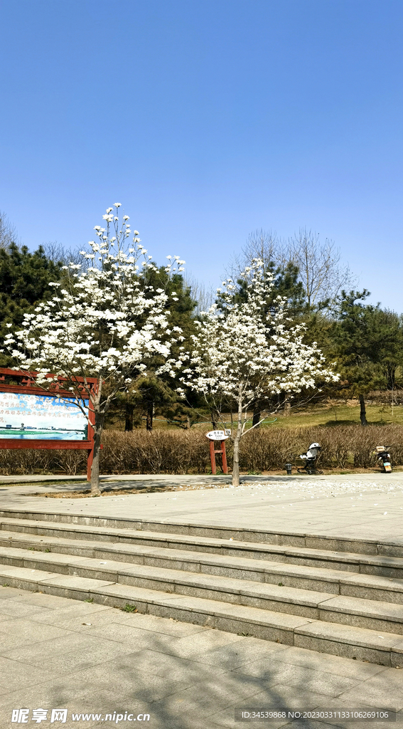 风景图片
