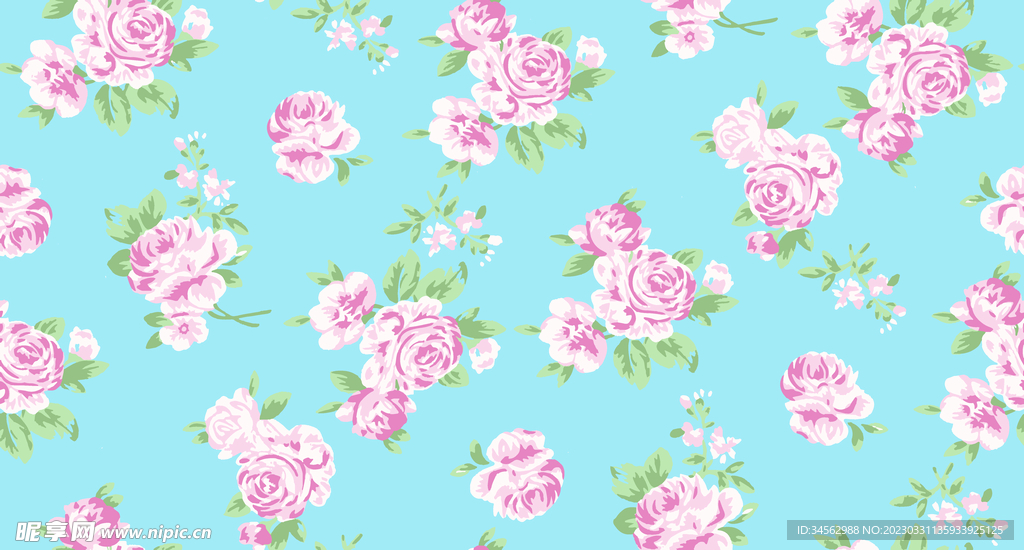 玫瑰花