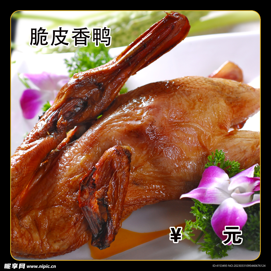 咖喱脆皮鸭 – Yangda Chinese Restaurant