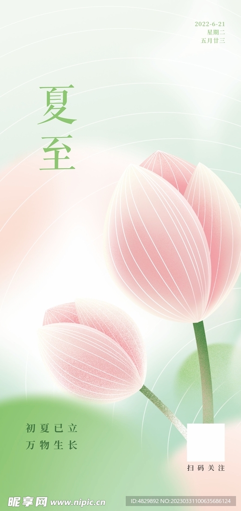 夏至