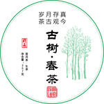 古树春茶