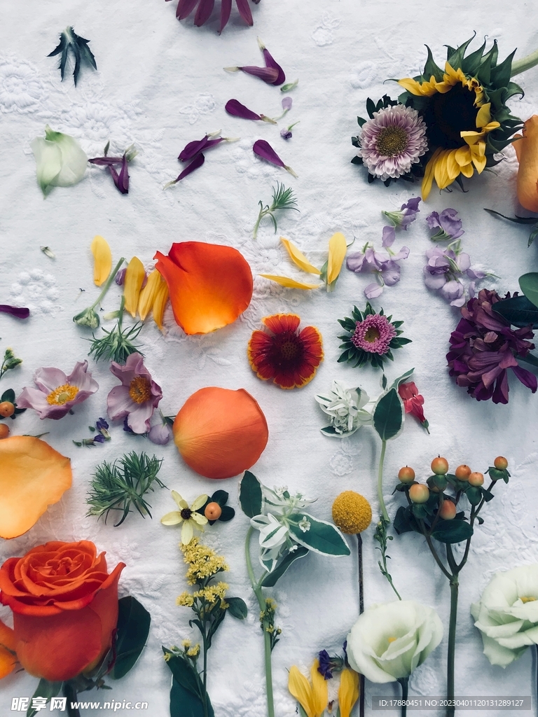 鲜花
