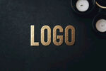 LOGO样机