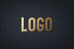 LOGO样机
