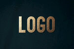 LOGO样机